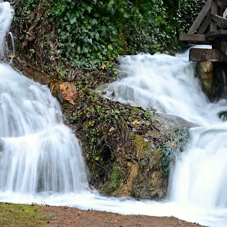 Dom wakacyjny Samodol *